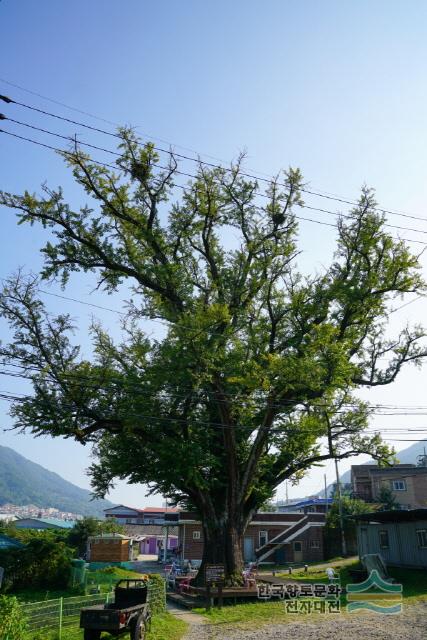 대표시청각 이미지